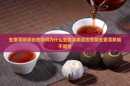 生普洱茶适合煮茶吗