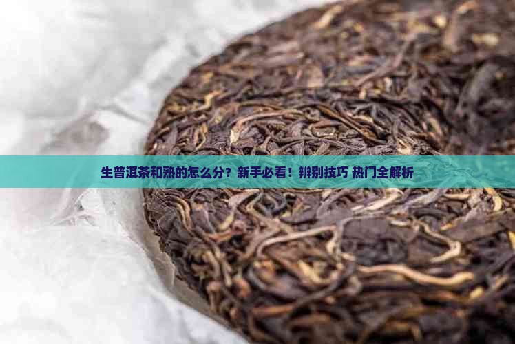 生普洱茶和熟的怎么分