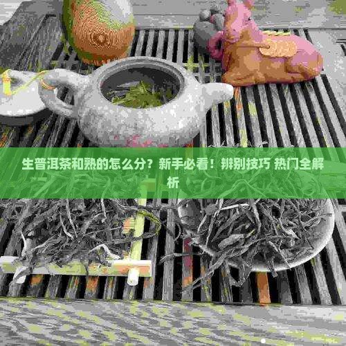 生普洱茶和熟的怎么分