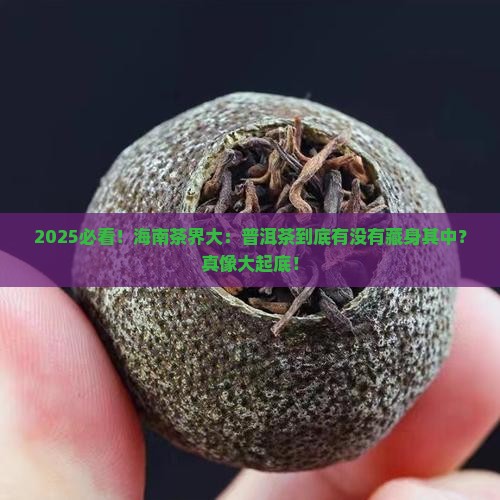 海南茶有普洱茶吗