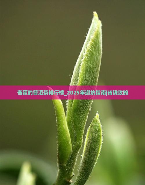 奇葩的普洱茶品牌排行榜