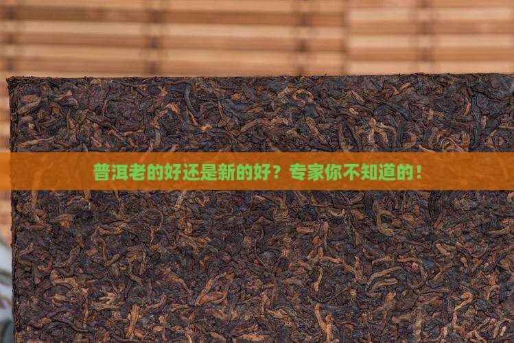 普洱老的好还是新的好