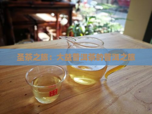 圣茶之旅2005年