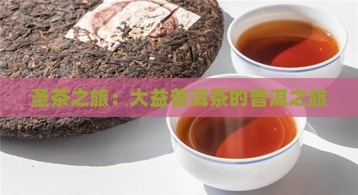圣茶之旅2005年