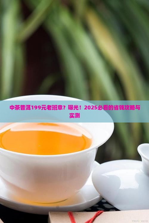 中茶普洱199元老班章