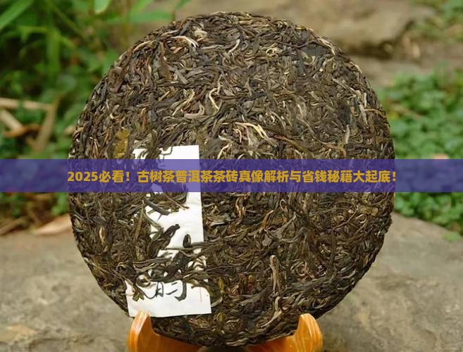 古树茶普洱茶茶砖