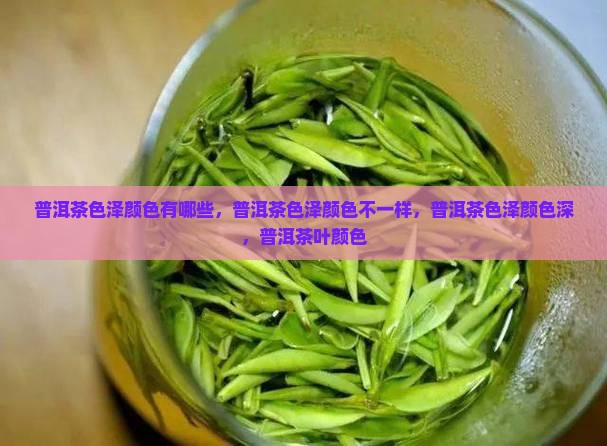 普洱茶色泽颜色
