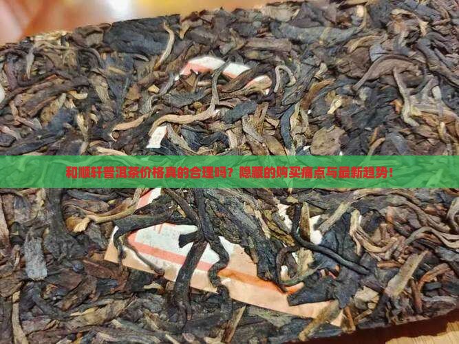 和顺轩普洱茶价格查询