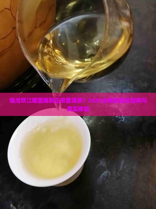 临沧双江哪个普洱茶