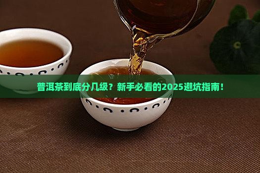 普洱茶分几种级别