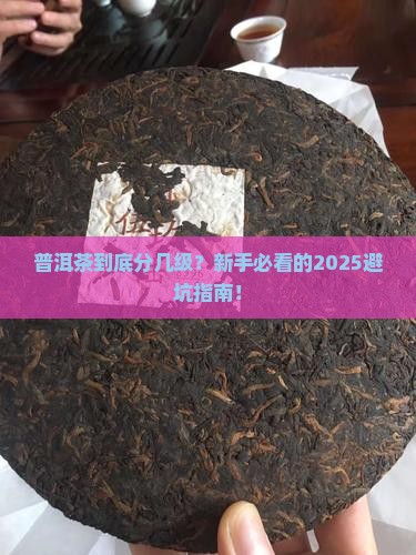 普洱茶分几种级别