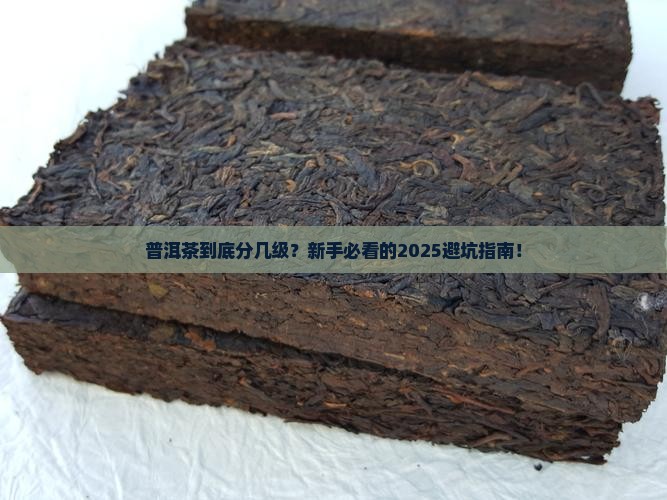 普洱茶分几种级别