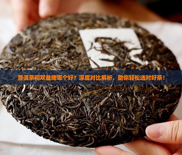普洱茶和双益牌哪个好