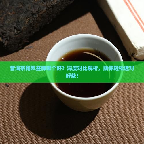普洱茶和双益牌哪个好