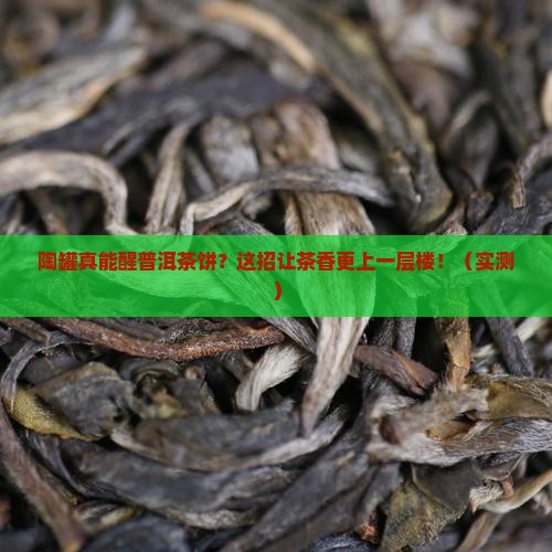 陶罐能用来醒普洱茶饼吗