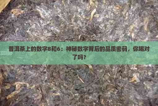普洱茶上的数字8和6