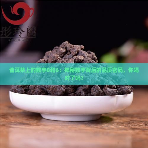普洱茶上的数字8和6