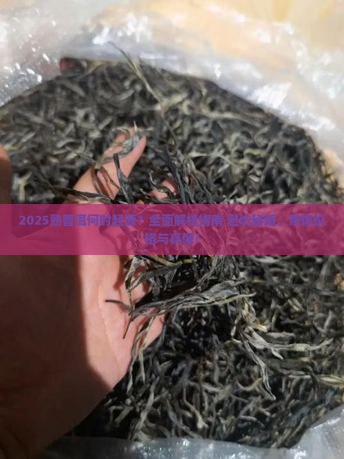 熟普洱什么时候开始的