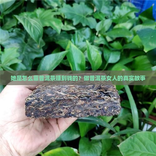 做普洱茶的女人