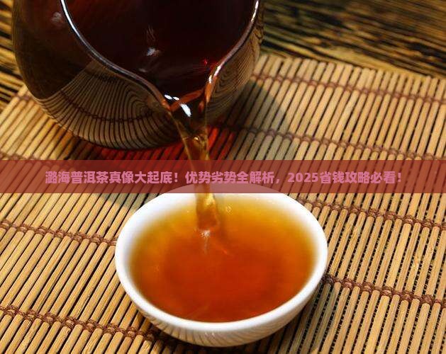 潞海普洱茶的优势与劣势