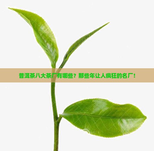 普洱茶八大茶厂有哪些