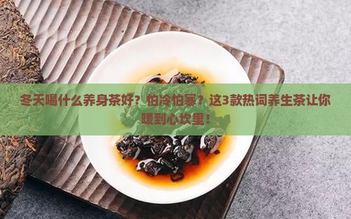 冬天喝什么养身茶好