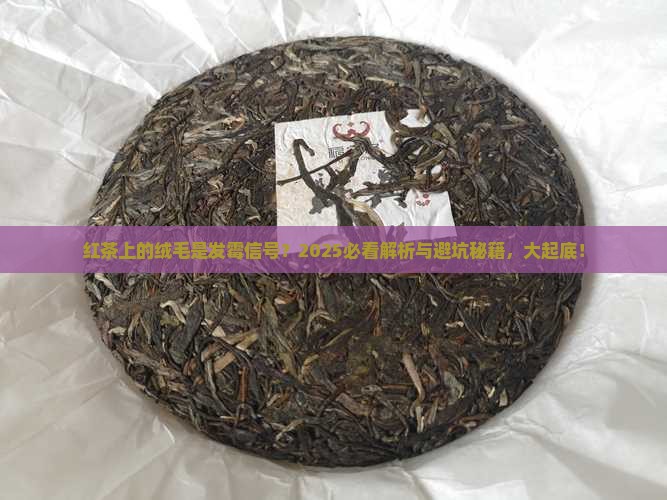 红茶很多绒毛是发霉了么