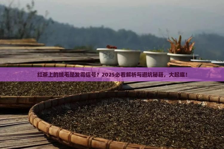 红茶很多绒毛是发霉了么