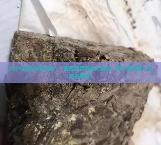 广西优惠的普洱茶品牌是