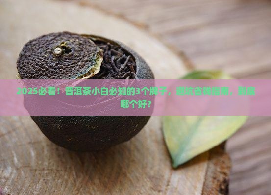 普洱哪个牌子的好
