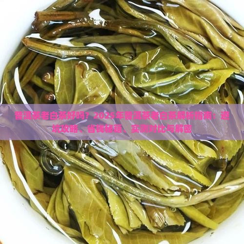 普洱茶老白茶好吗