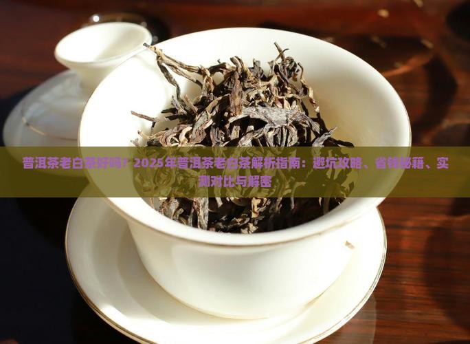 普洱茶老白茶好吗