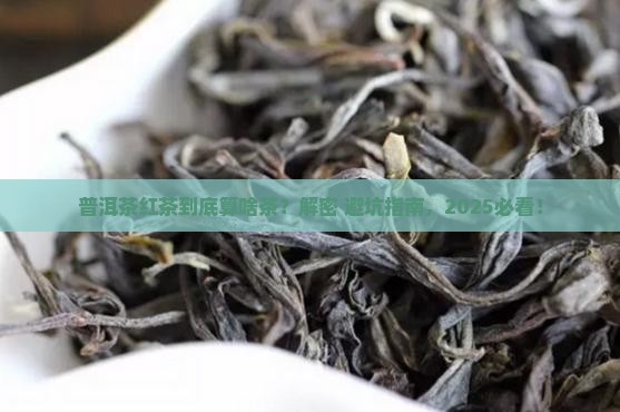 普洱茶红茶属于什么茶