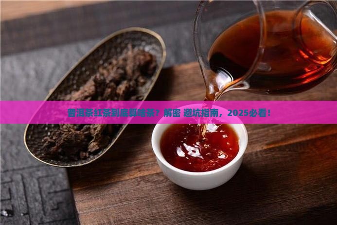 普洱茶红茶属于什么茶