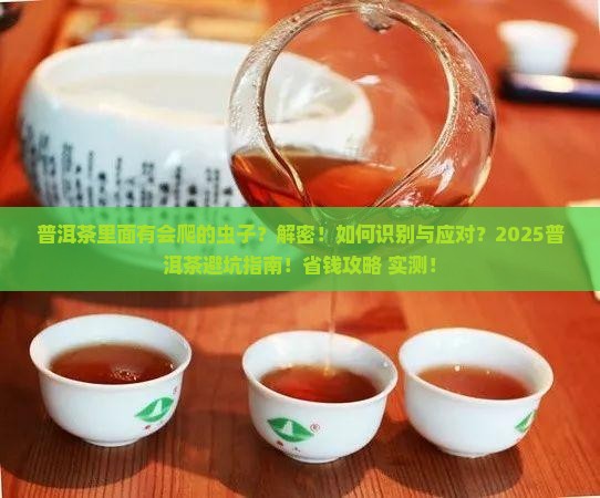 普洱茶里面有会爬的虫子