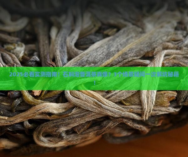 石斛泡普洱茶可以吗