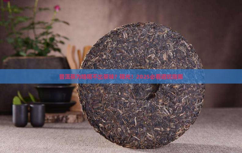 普洱茶为什么没有茶韵味