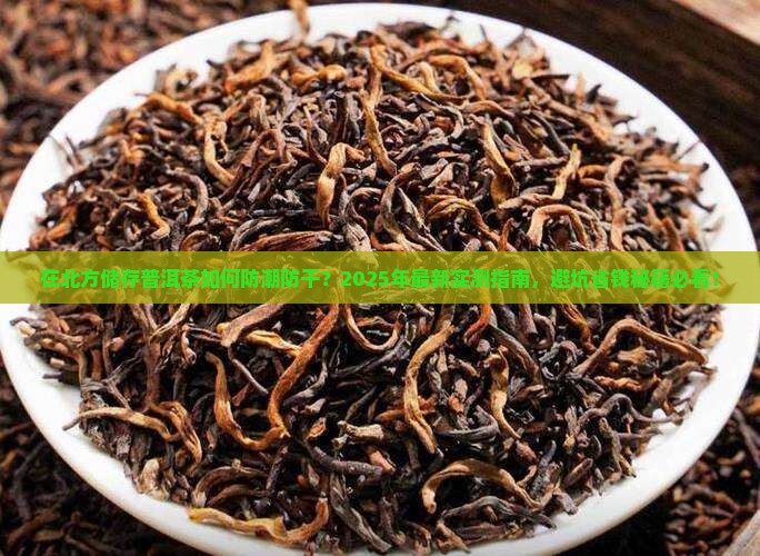 在北方拿什么储存普洱茶