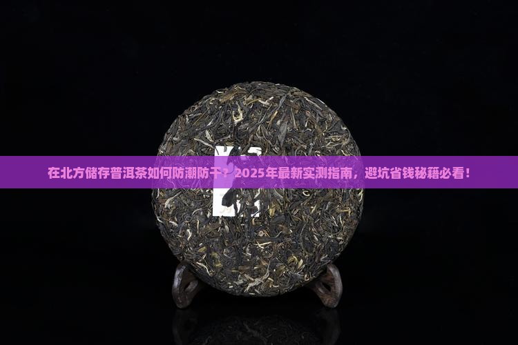 在北方拿什么储存普洱茶