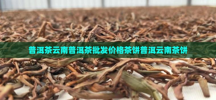 普洱茶饼3803