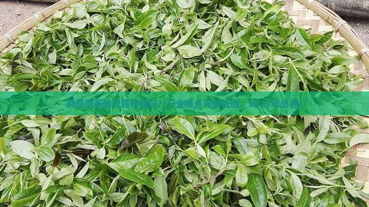 种普洱茶的农民有钱吗