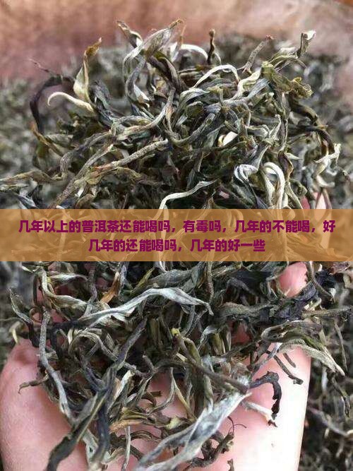 几年以上的普洱茶还能喝吗