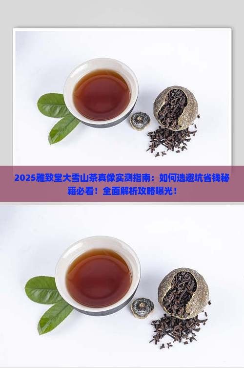 雅致堂大雪山茶