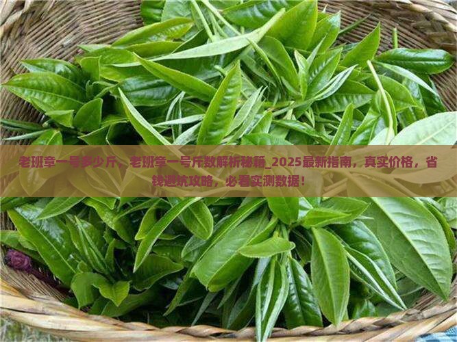 老班章一号多少斤