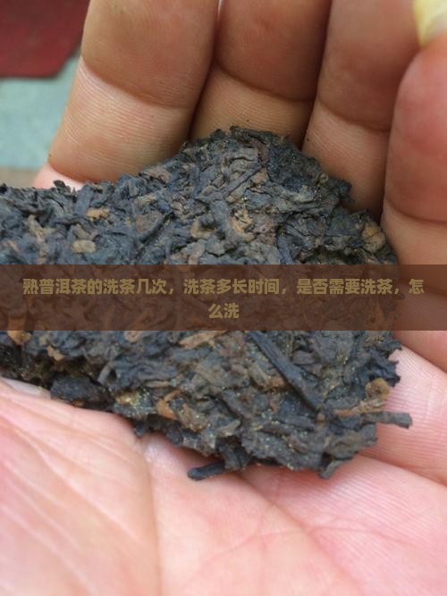熟普洱茶的洗茶