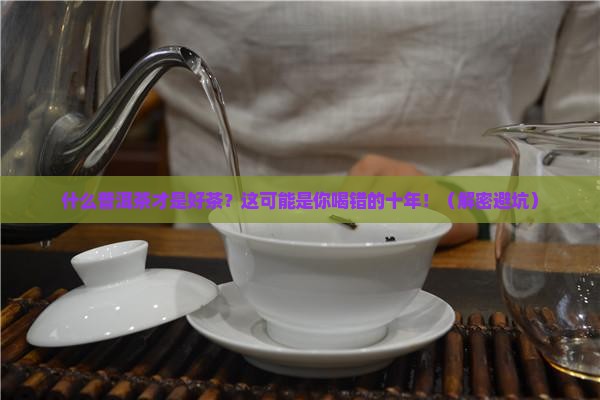 什么普洱茶才是好茶