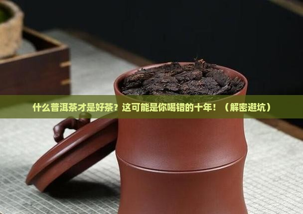什么普洱茶才是好茶