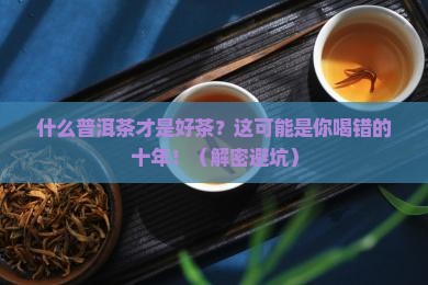 什么普洱茶才是好茶