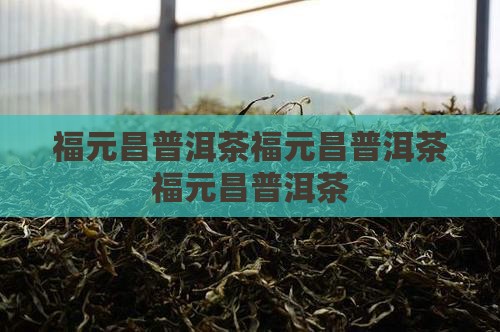 福元昌普洱茶官网
