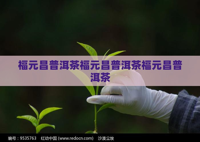 福元昌普洱茶官网
